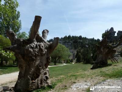 Cañón del Río Lobos  [Día de San Isidro] sierra de madrid tiempo guia senderismo ruta en madrid